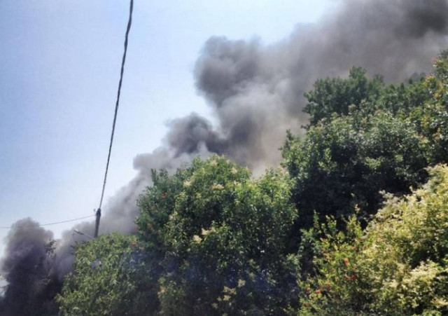 Αιτωλοακαρνανία: Αυτοκίνητο προκάλεσε πυρκαγιά σε δασική έκταση (pics)