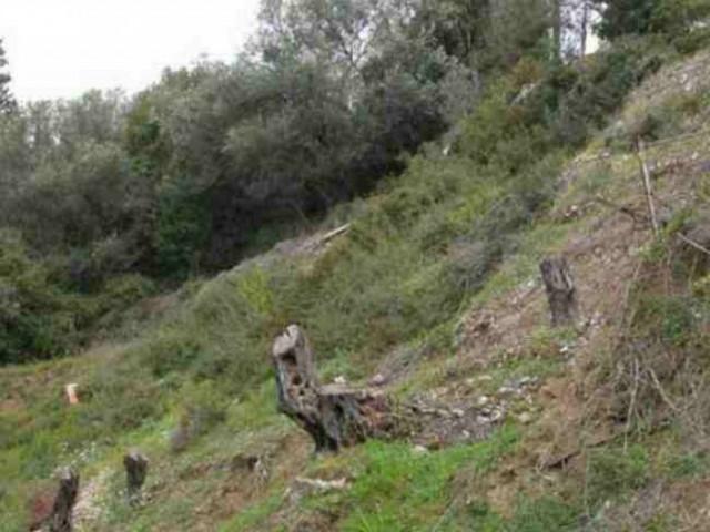 Αγρίνιο: Πήγε στο χωράφι της και δεν πίστευε αυτό που έβλεπε