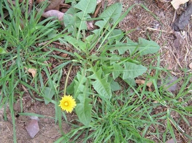 Αν είναι δυνατόν: Πρόστιμο σε έλληνα συνταξιούχο επειδή...