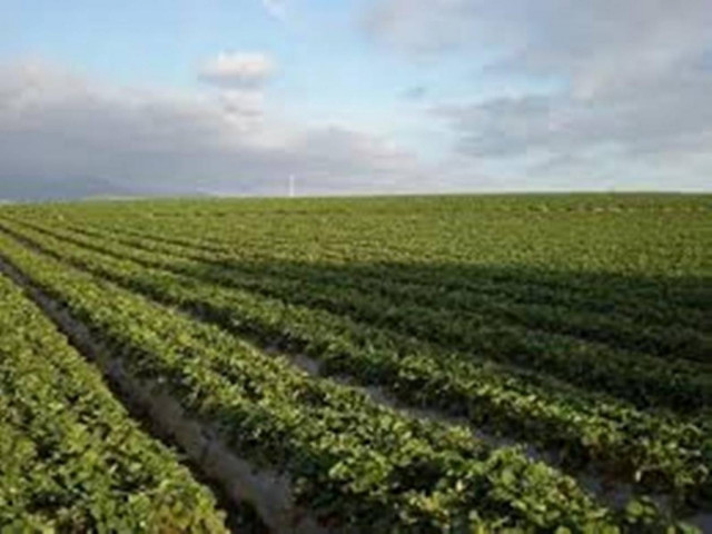 Μυστηριώδης θάνατος στην Κρήτη