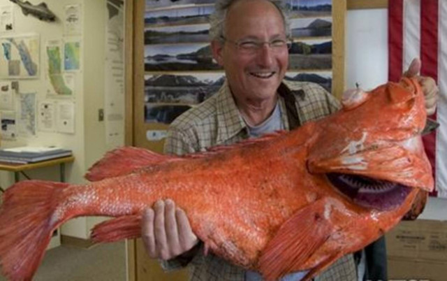 Έπιασε ψάρι 200 ετών (pics)