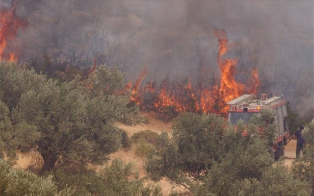 Υπό έλεγχο η φωτιά στο Στεφάνι Κορινθίας