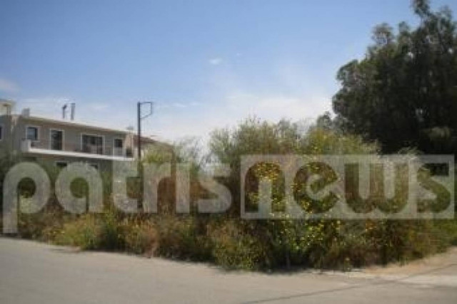 Τρόμος στην Aμαλιάδα: Έπαθαν ΣΟΚ με αυτό που είδαν στον κήπο τους