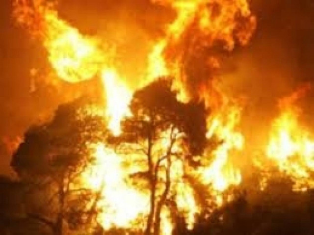 Υπό πλήρη έλεγχο φωτιά στην Κόρινθο