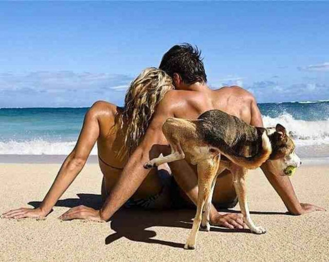 Ό,τι χειρότερο μπορεί να συμβεί το καλοκαίρι (pics)