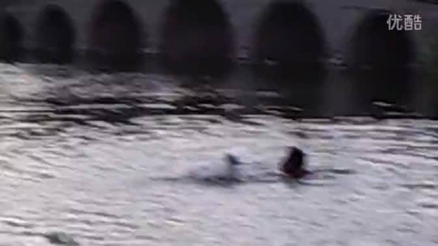 Το βίντεο που σαρώνει: Έσωσε σκύλο από πνιγμό!