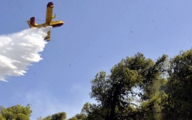 Συνελήφθη 55χρονη για την πυρκαγιά στην Ψάθα