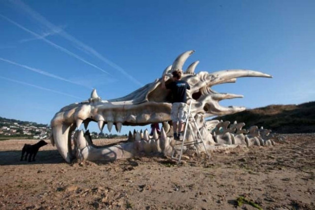 Γιγάντιο κρανίο δράκου σε παραλία της Αγγλίας (pics)