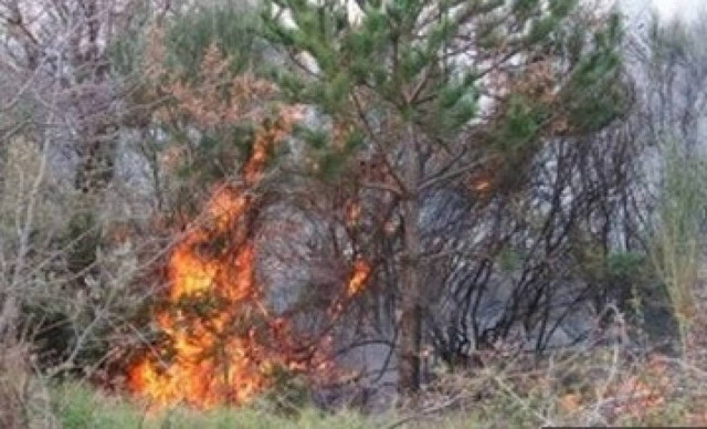 Σε ύφεση η πυρκαγιά στην Πάρνηθα