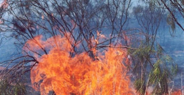 Σύλληψη 48χρονου για πυρκαγιά στο Λαγονήσι