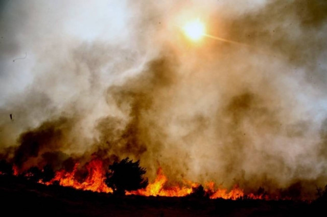 Πυρκαγιά στη Δάφνη Βοιωτίας