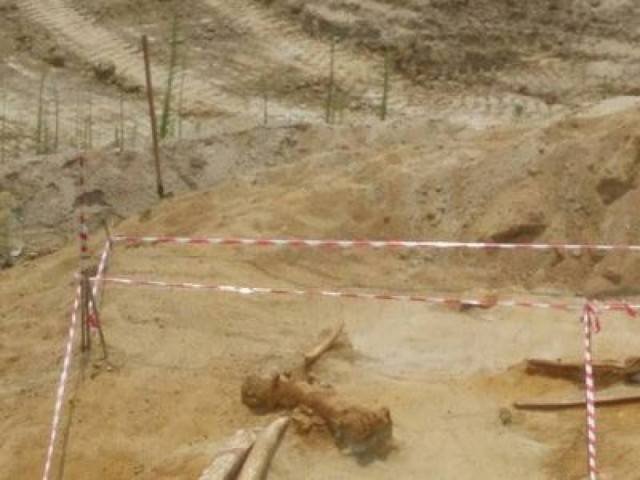 Δράμα: Ανασκαφή φέρνει στο φως σαβάνα 9 εκατ. ετών