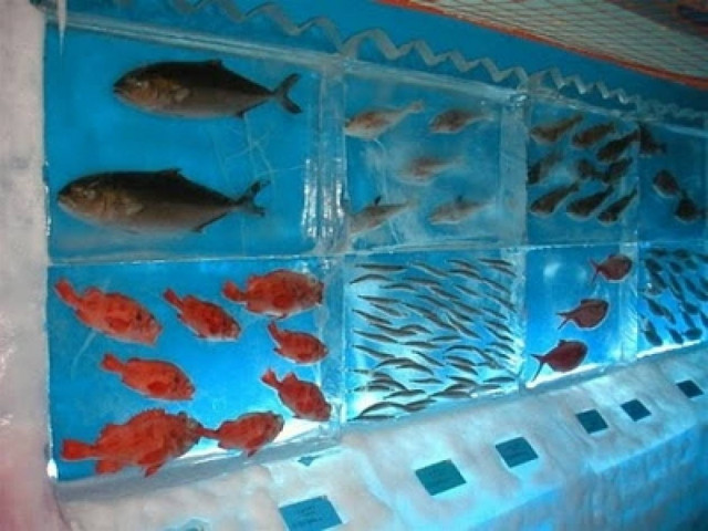 Κατεψυγμένο ενυδρείο στην Ιαπωνία (pics)