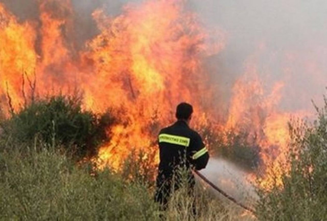Υπό μερικό έλεγχο η πυρκαγιά στην Άρλα Αχαΐας
