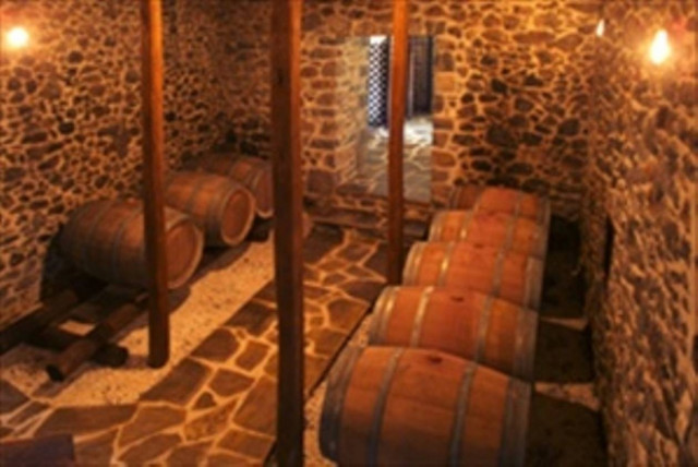 Ρήμαξαν οινοποιείο στην Ηλεία