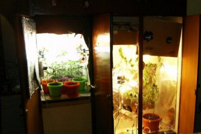 Hi tech σύστημα καλλιέργειας κάνναβης στη Σητεία