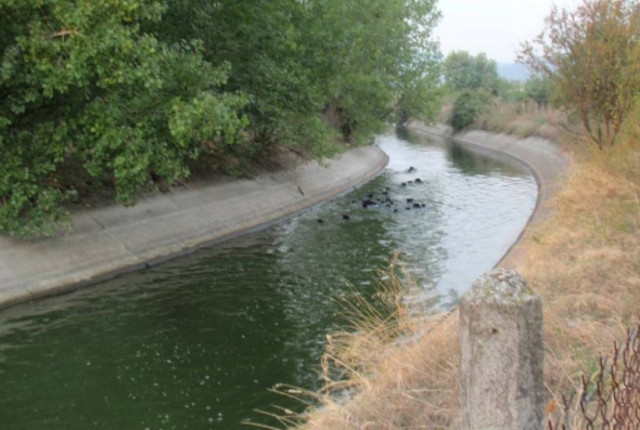 Καβάλα: Μυστήριο με πτώμα γυναίκας σε αρδευτικό κανάλι