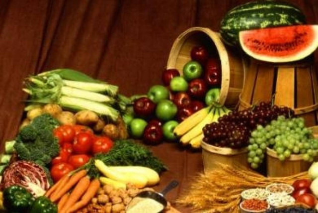 Έκκληση για βοήθεια από την Λέσχη Εθελοντών Αλληλεγγύης Πάφου