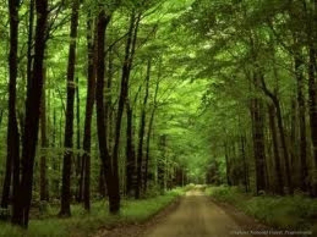 Το ακούσαμε και αυτό: Γυναίκα δέχθηκε άγρια επίθεση από...