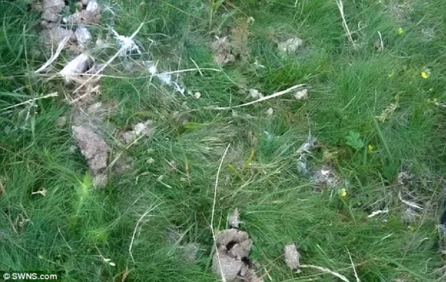 ΣΟΚ στη Βρετανία προκαλούν εικόνες από σατανιστικές τελετές (pics)