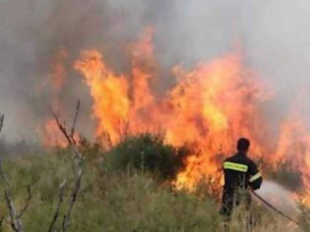 Σε εξέλιξη πυρκαγιά στην Άνδρο