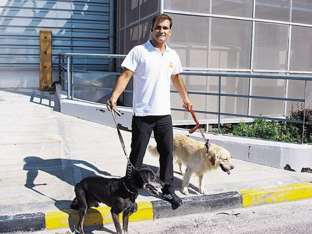 Νέο πρόγραμμα για τις ακαθαρσίες των κατοικίδιων στην Θεσσαλονίκη