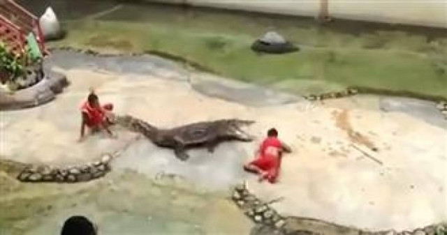 Βίντεο: Πιάστηκε στα σαγόνια κροκόδειλου και σώθηκε από θαύμα