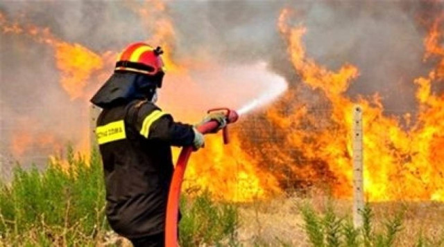 Πυρκαγιά στα Μέγαρα Αττικής