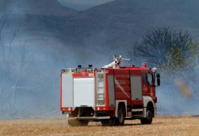 Πυρκαγιά στον Άγιο Ανδρέα Αργολίδας