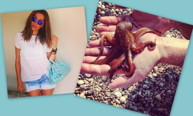 Δέσποινα Βανδή: Εδώ τα καλά ψάρια!