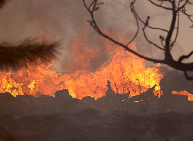 Πράκτορες των Τούρκων οι «πρόσφυγες» που έκαψαν τη Σάμο
