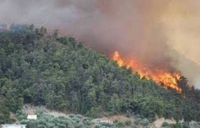 Υπό έλεγχο η φωτιά στην Φλώρινα