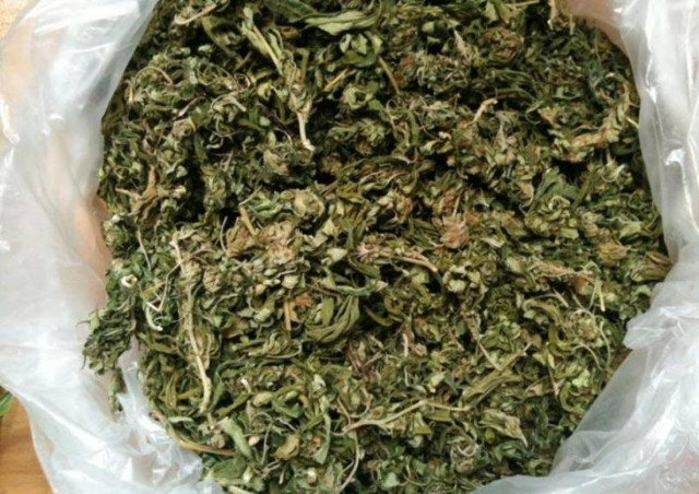 Εξαρθρώθηκε σπείρα που διακινούσε ναρκωτικά στη Δυτική Ελλάδα