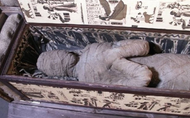 10χρονος έπαθε ΣΟΚ όταν βρήκε στη σοφίτα... (pics)