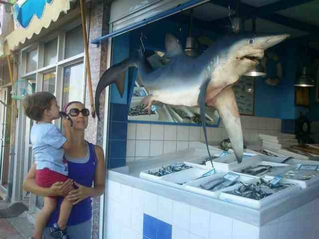 Κρήτη: Ψάρεψαν γαλέο 40 κιλών!