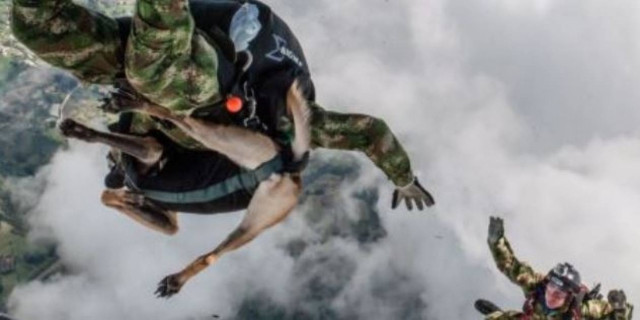 Απίστευτες εικόνες: Μια σκυλίτσα - αλεξιπτωτιστής! (pics)