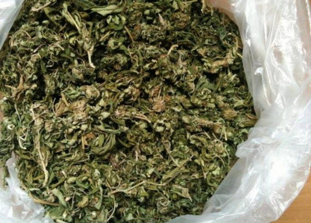 Σύλληψη 26χρονου για μεγάλη ποσότητα κάνναβης