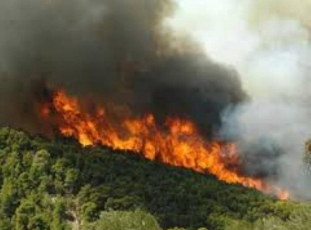 Πού υπάρχει πολύ υψηλός κίνδυνος πυρκαγιάς την Κυριακή