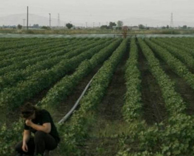 ΕΛΓΑ: Καταβολή αποζημιώσεων σε 2.069 δικαιούχους