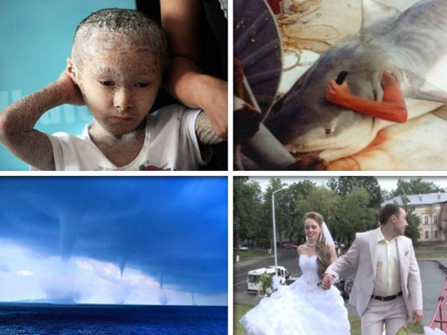 Τα δημοφιλέστερα θέματα του Newsbomb