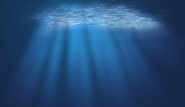 Επιστήμονες θα χρησιμοποιούν καβούρια για να βρουν πνιγμένους!