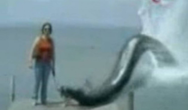 Το βίντεο που σαρώνει στο διαδίκτυο.. 42.000.000 VIEWS !!