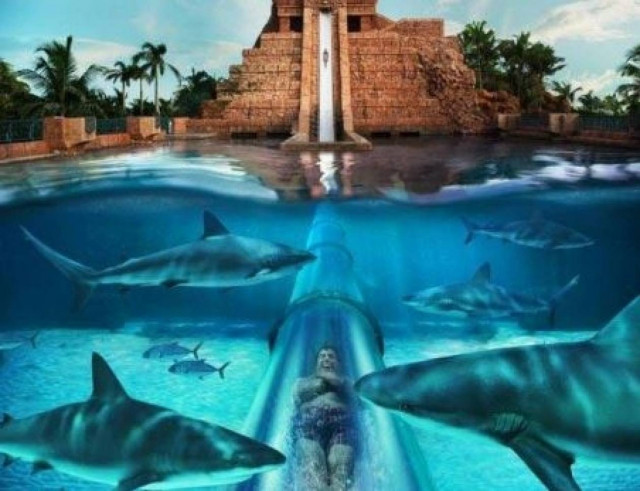 Μια νεροτσουλήθρα διαφορετική από τις άλλες (pics)