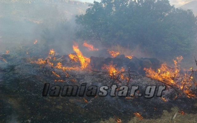 Εκτός ελέγχου η πυρκαγιά στον ελαιώνα της Άμφισσας (Pics+video)