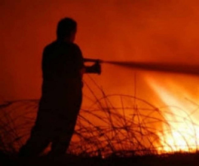 Πυρκαγιά σε δασική έκταση στην Αργολίδα