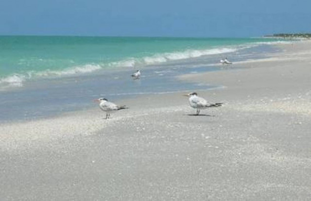 Κύπρος: Επιχείρηση Δήμου Γεροσκήπου κατά οφειλετών στις παραλίες