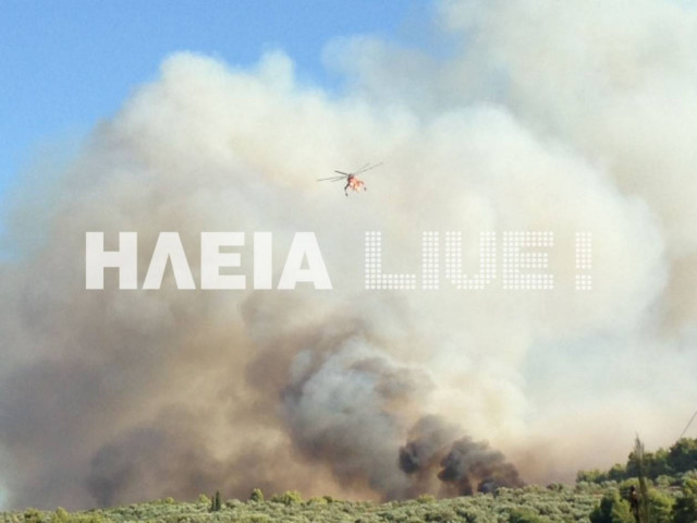 Ορατή από τον Πύργο η φωτιά στο Γεράκι Αμαλιάδας (pics)