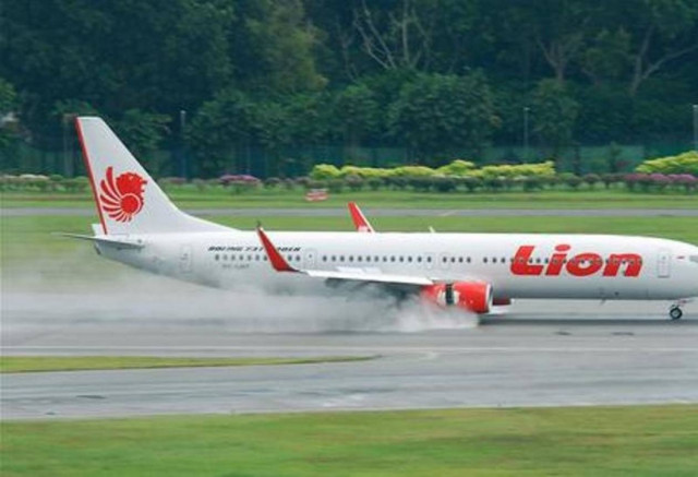 Αεροσκάφος συγκρούστηκε με αγελάδες