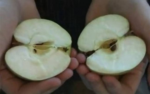 Βίντεο: Πώς να κόψεις ένα μήλο με τα χέρια