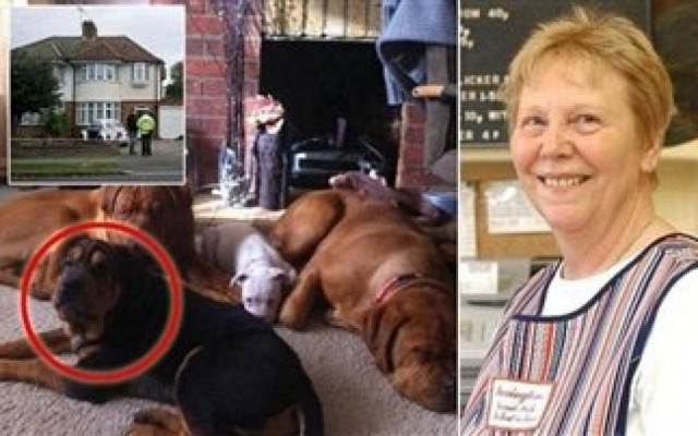 Ο σκύλος του κατασπάραξε την πεθερά του